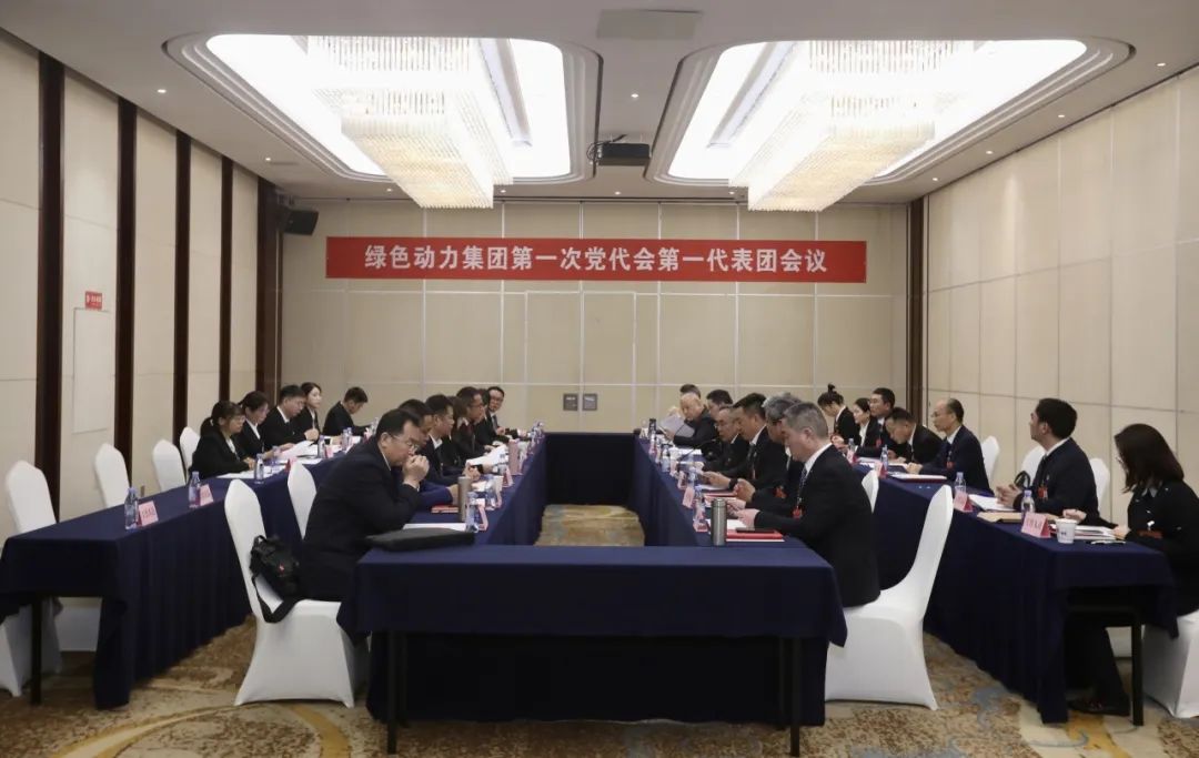 铭刻使命再出发，代表热议“两委”报告